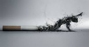 http://t0.gstatic.com/images?q=tbn:ANd9GcQf-5yT5gZfwGUAsPZWxHFTay9DG28YKylnWx1CDnO9w5Shf7fq3hkIIjdh