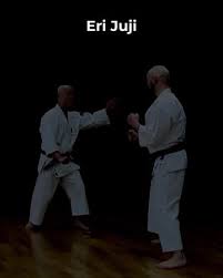 Image result for Durham University Shorinji Kempo Society Club