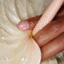 Image result for sexe anal