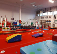 Image result for Wickers Gymnastics Club