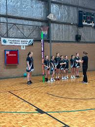 Image result for pulborough netball club