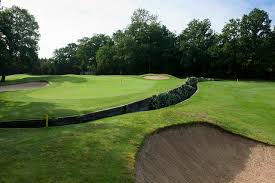 Image result for Leatherhead Golf Club