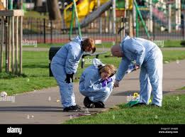 Image result for Old Dean Outdoor