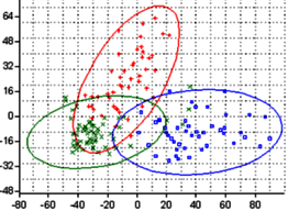 Attēlu rezultāti vaicājumam “Calliergon megalophyllum”