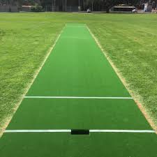 Image result for Astroturf