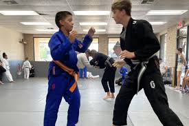 Image result for Walker's American Martial Arts