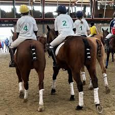 Image result for Cambridge and Newmarket Polo Club