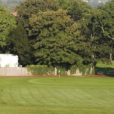 Image result for Aquarius Golf Club