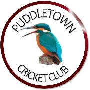 Image result for Shillingstone Cricket Club