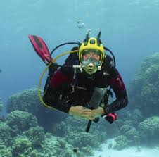 Image result for Looe Diving Club