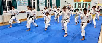 Image result for Windsor Higashi Karate Club