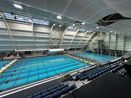 Image result for Knutsford Netball Club