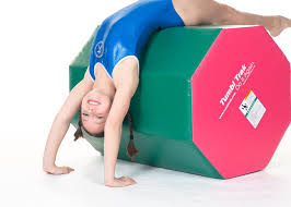 Image result for Pinewood Gymnastics Club