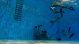 Image result for Rugby Swimming Club