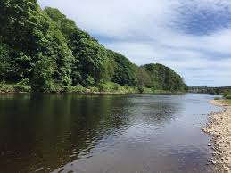 Image result for Aberdeen & District Angling Association