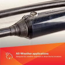 Image result for %82%C4%82%A1%82%F1%82%AD%82%E9