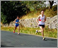 Image result for Billingham Marsh House Harriers