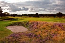 Image result for Walton Heath Golf Club