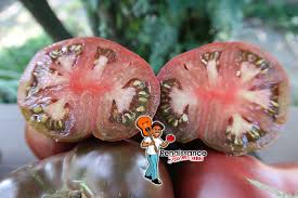 Afbeeldingsresultaat voor black brandywine tomato