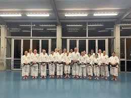 Image result for Tolworth Shorinji Kempo Branch