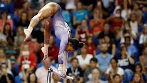 Image result for L&G Acrobatic Gymnastics