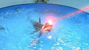 Image result for sharks lasers