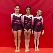 Image result for Rowan Gymnastics Club