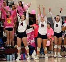 Image result for Westoning Recreation Netball Club