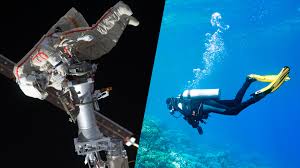 Image result for innerspace divers