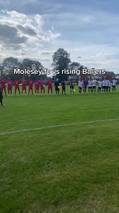 Image result for Molesey Juniors Football Club