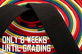 Image result for Atherstone Karate Club