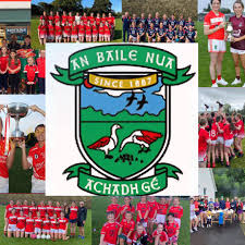 Image result for Lisnaskea Emmetts Gfc