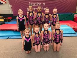 Image result for Spelthorne School Of Gymnastics