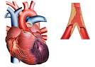 Infarctus du <b>myocarde</b>