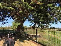 Image result for Southwold Golf Club