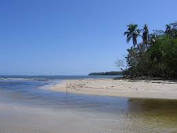 Image result for cahuita costa rica