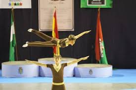 Image result for Spelthorne School Of Gymnastics