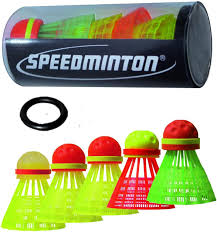 Image result for London Speedminton Club
