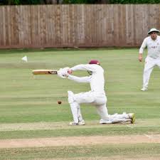 Image result for Midsomer Norton Cricket Club