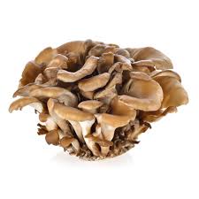 Attēlu rezultāti vaicājumam “Grifola frondosa”