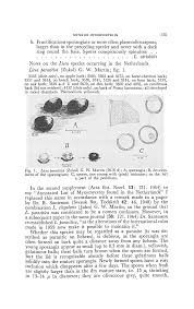 Attēlu rezultāti vaicājumam “Licea pusilla young”