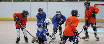 Image result for Urban Knights Inline Roller Hockey