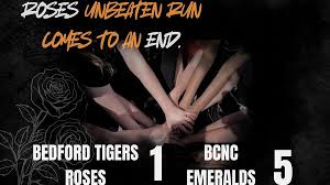 Image result for Bedford Tigers Tchoukball Club