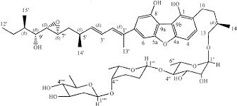 Attēlu rezultāti vaicājumam “Fuligo cinerea”