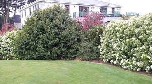 Image result for Ashbourne Golf Club Ltd