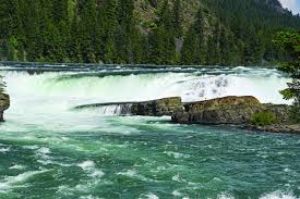 Attēlu rezultāti vaicājumam “Tubifera montana”