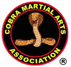 Image result for Cobra Karate Club