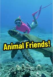 Image result for Bob Batley B`s Octopush Club