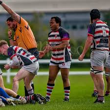 Image result for Novocastrians Rugby Football Club