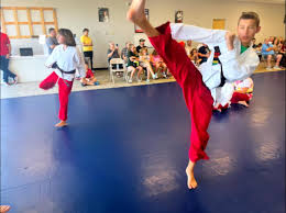Image result for Vision Martial Arts